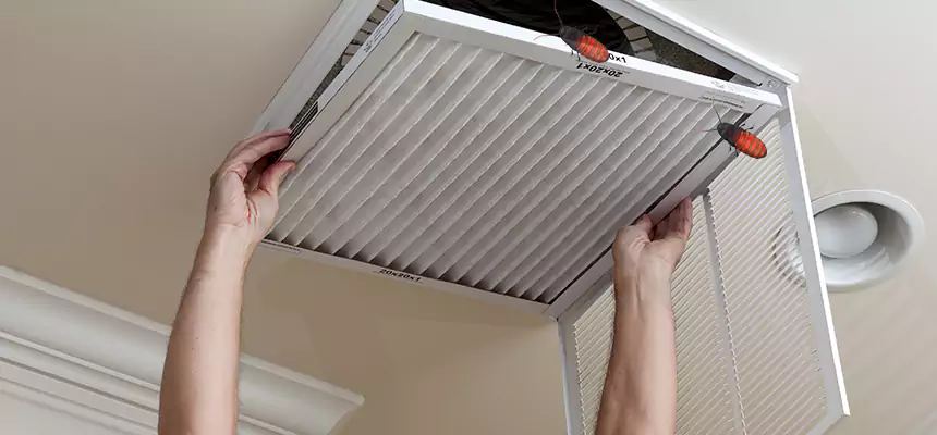 Preventive Cockroach-Proofing for Ducts in Pooler