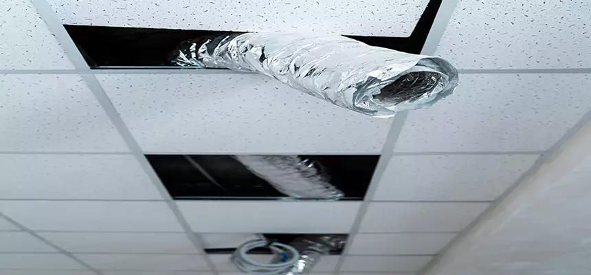 Affordable HVAC Sanitizing After Pest Removal in Pooler