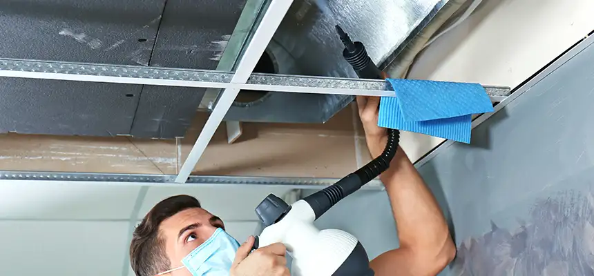 Our Air Duct Rodent Removal Services in Pooler, GA