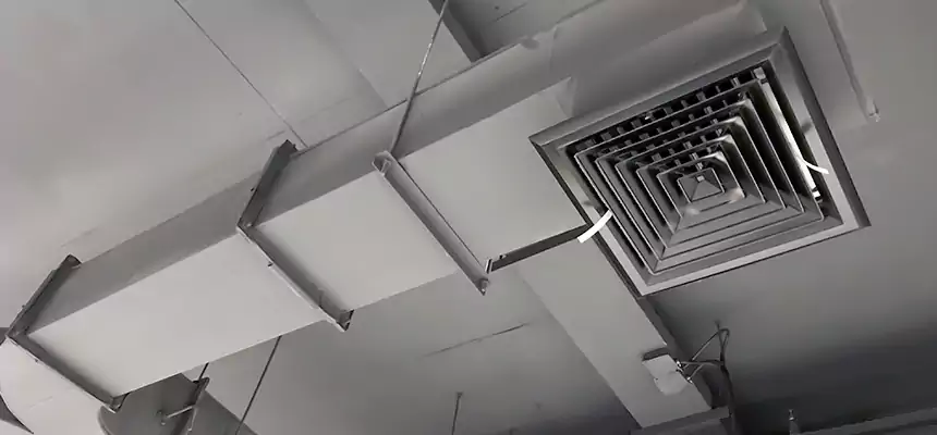 Restorative Allergy Relief Vent Cleaning – Coil, Blower & Housing Detail in Pooler