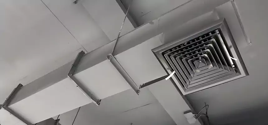 Our Rodent Droppings In Vents Services in Pooler, GA