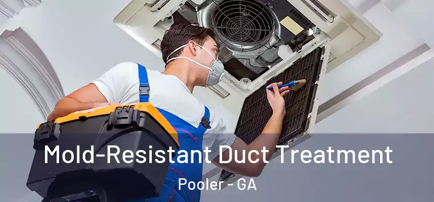  Mold-Resistant Duct Treatment Pooler - GA