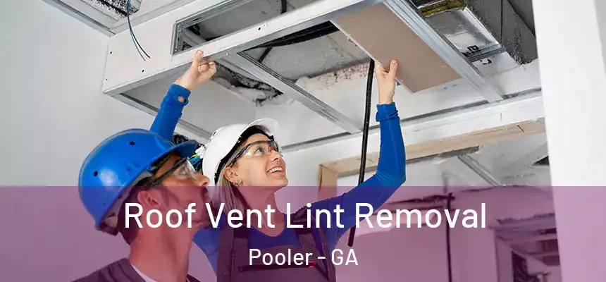 Roof Vent Lint Removal Pooler - GA