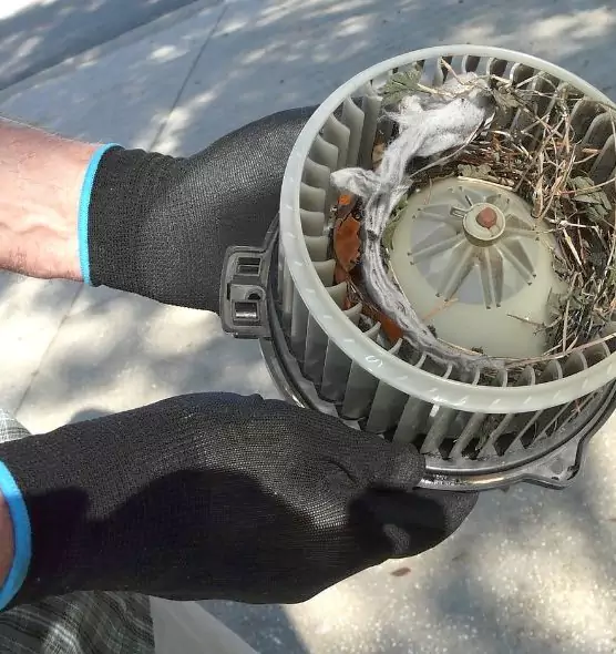 About Air Duct Rat Removal in Pooler, GA