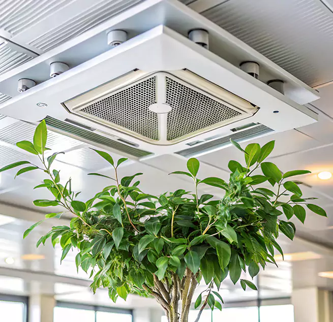 Why Homeowners & Businesses Trust Us in Pooler, GA?