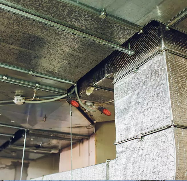 Why Homeowners & Businesses Trust Us Pooler, GA?