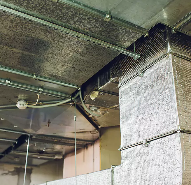 Why Homeowners & Businesses Trust Us in Pooler, GA?